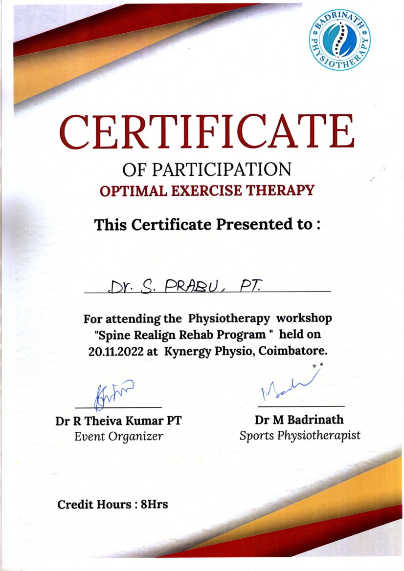 Spine Realign Rehab Program
